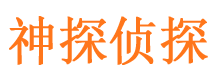 秀峰市私家侦探